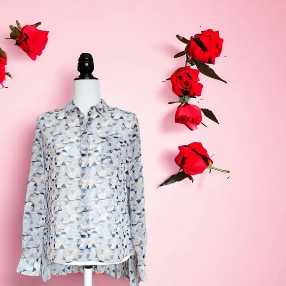 Debbie Shuchat Hi-Lo Pleated Blouse - Picture 7 of 12